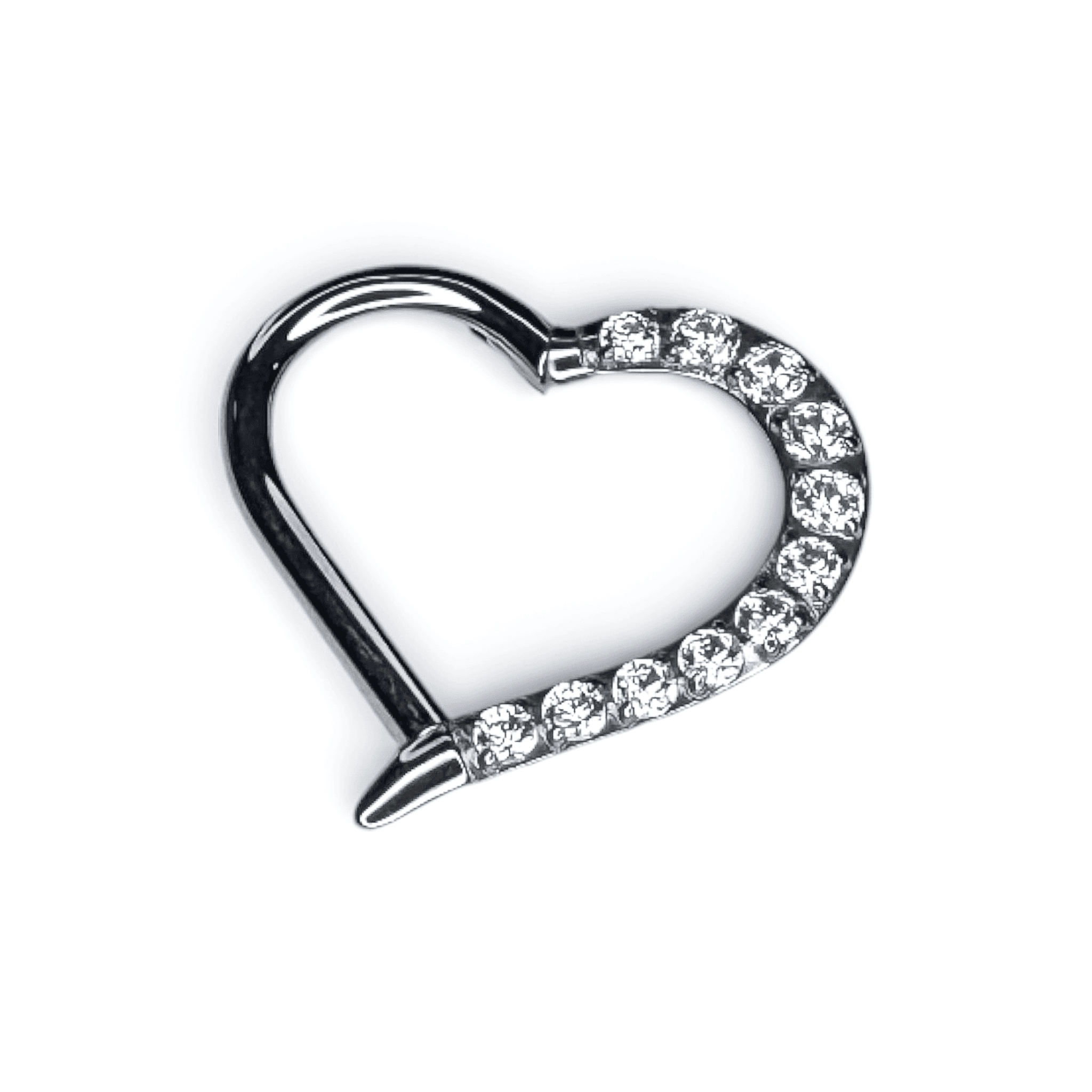 Symmetry Half-Heart Segment