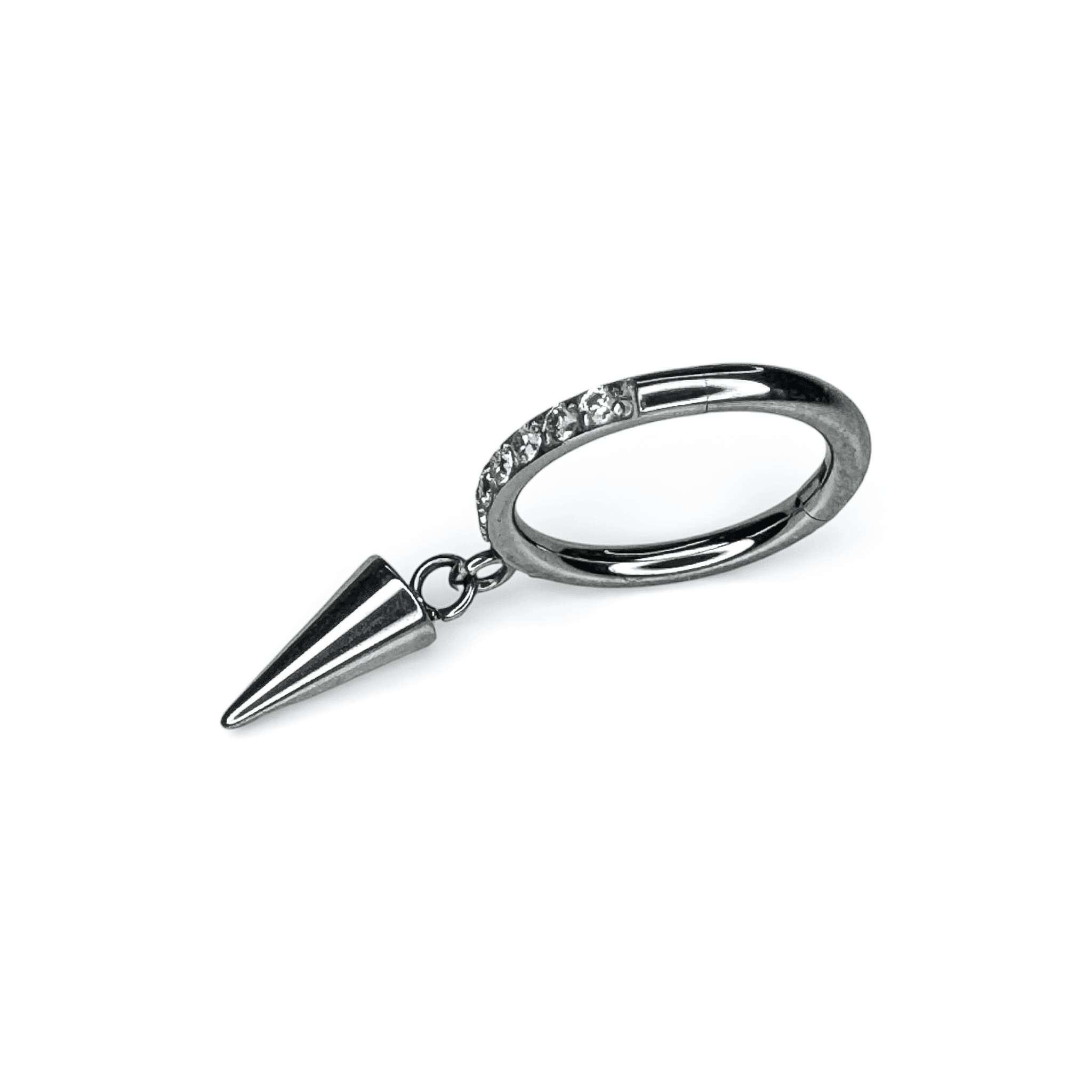 Spiseg Fusion Segment