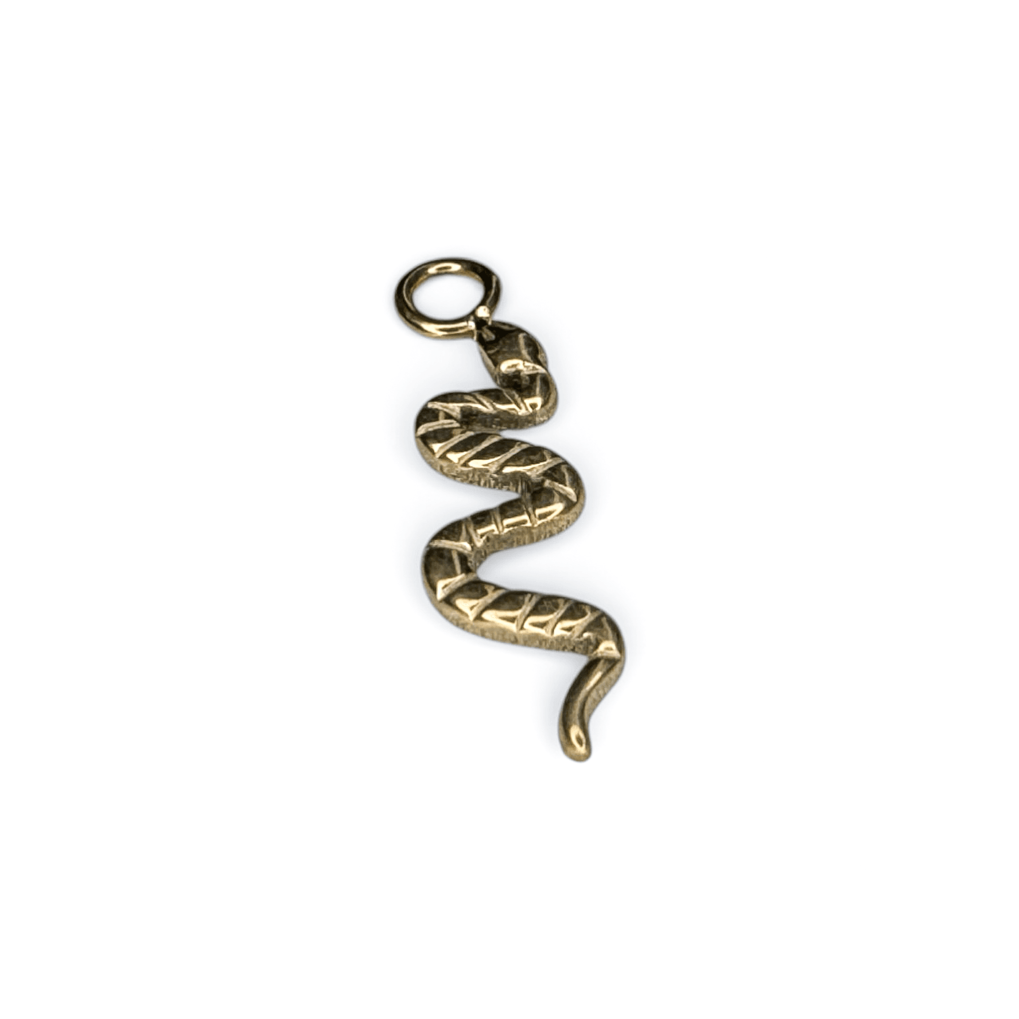 Snake Serpent Pendant