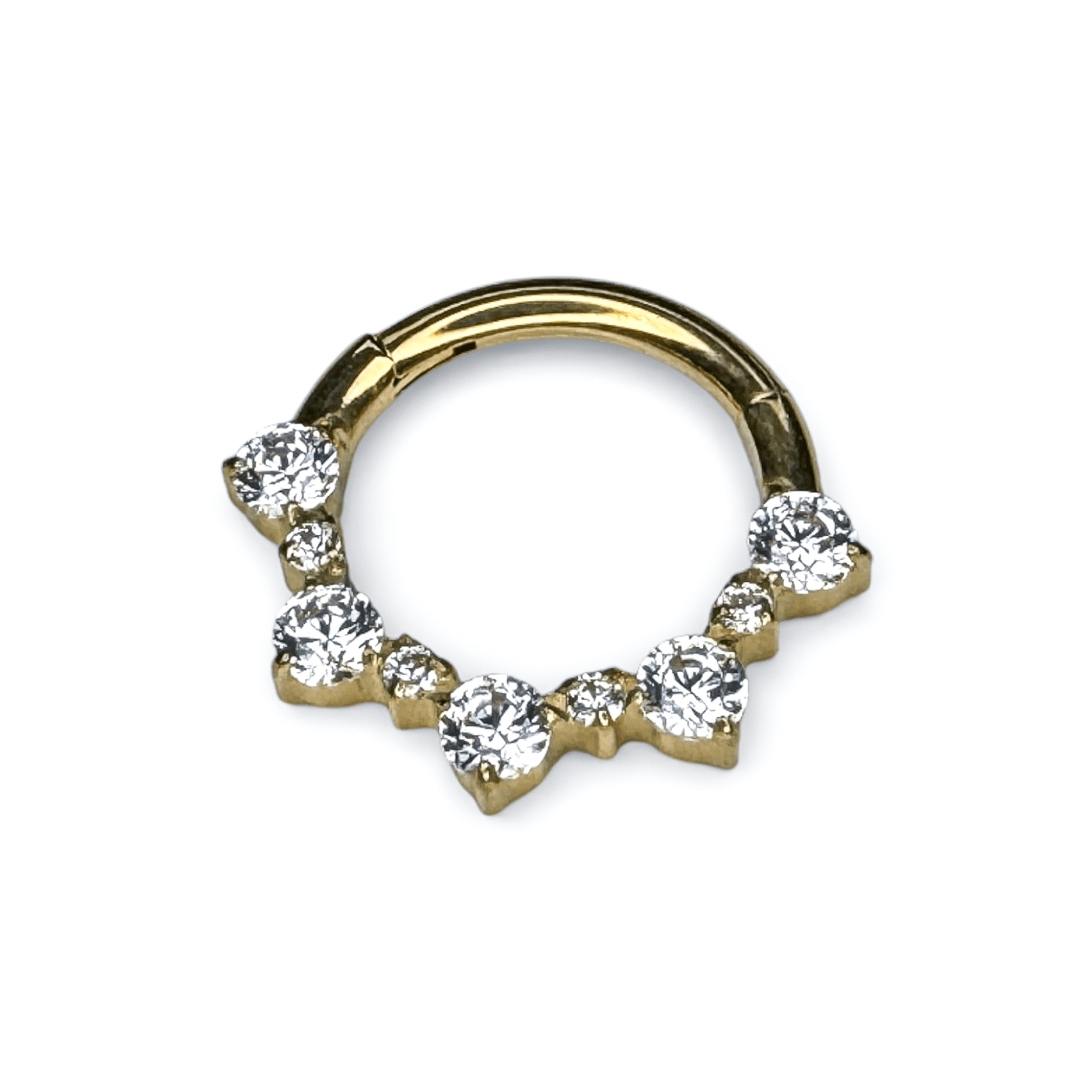 Fusion Miseg Segment