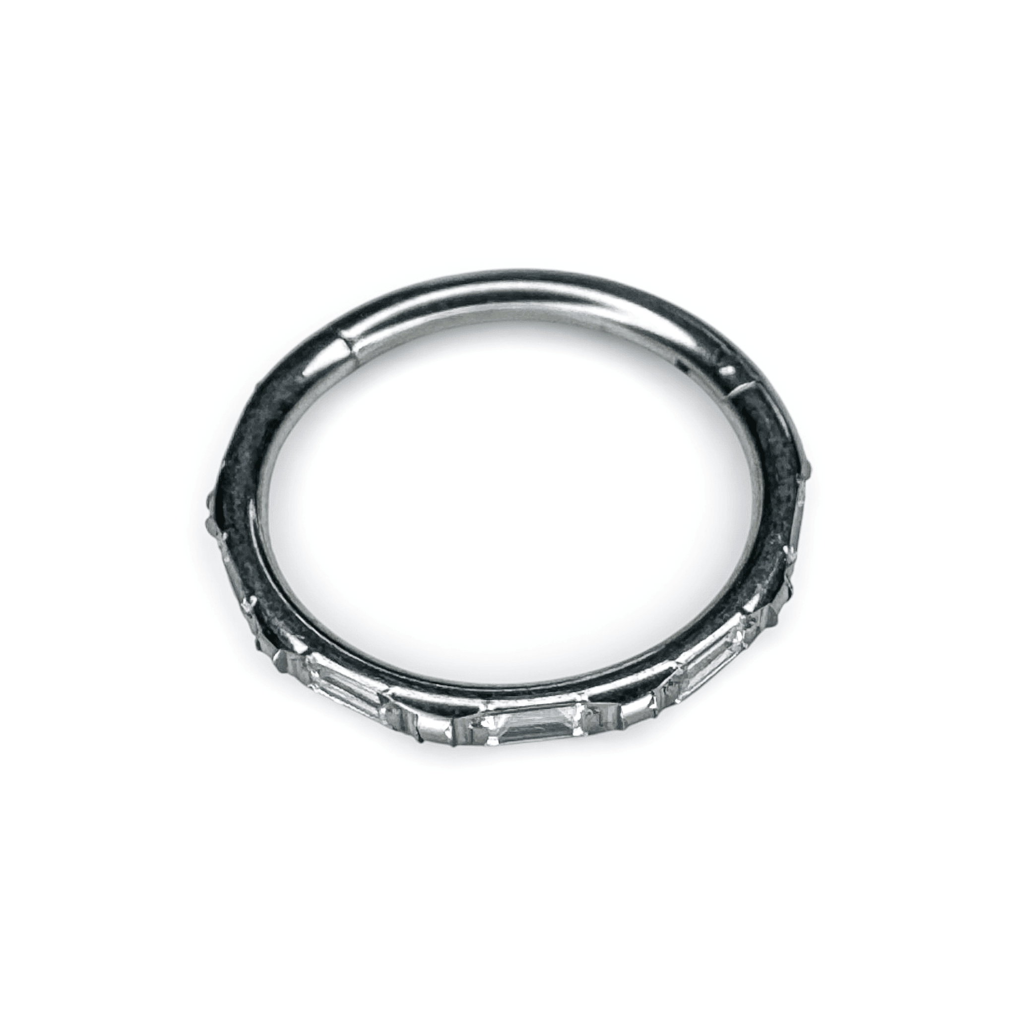 Baguette Vision Segment