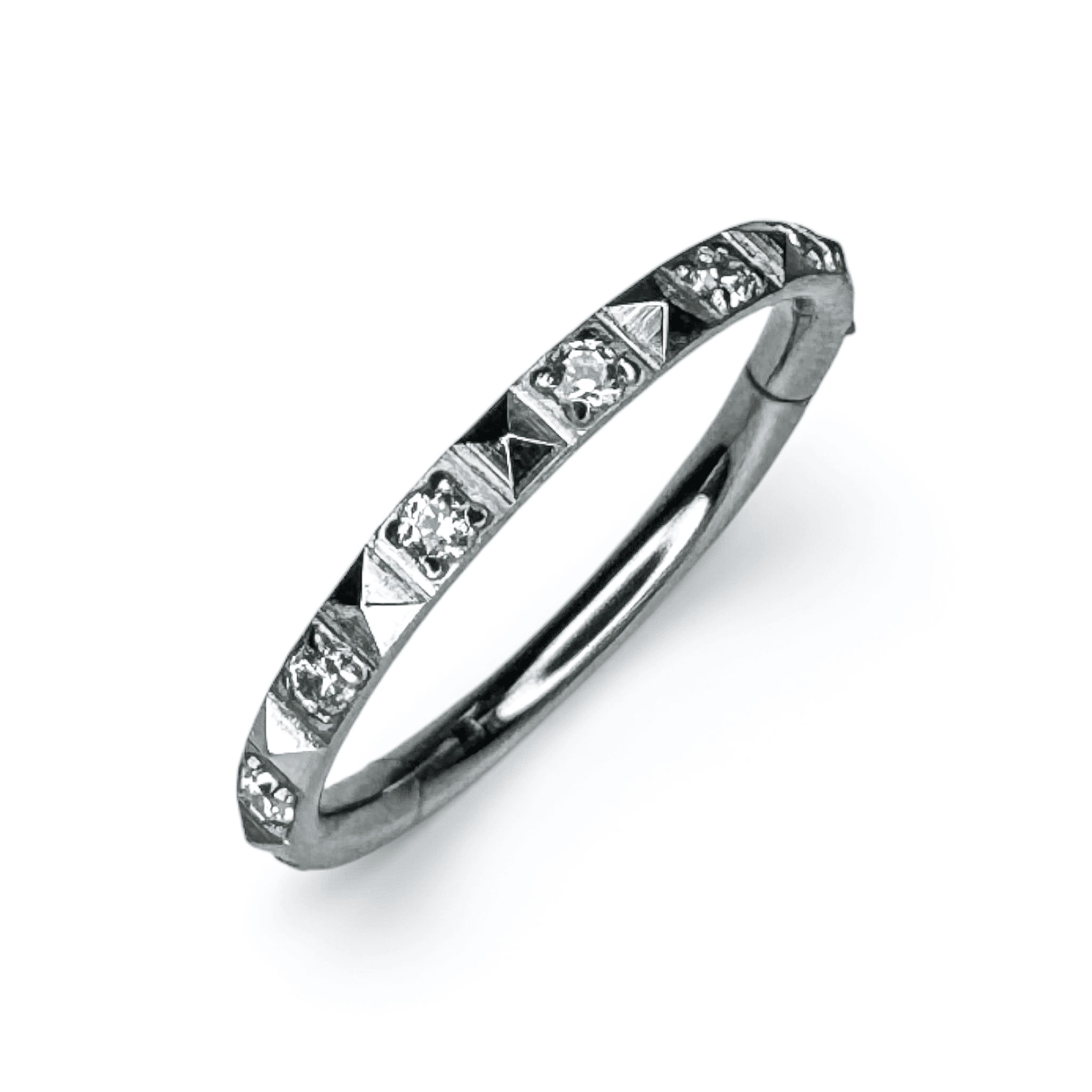 Miquseg Fusion Segment