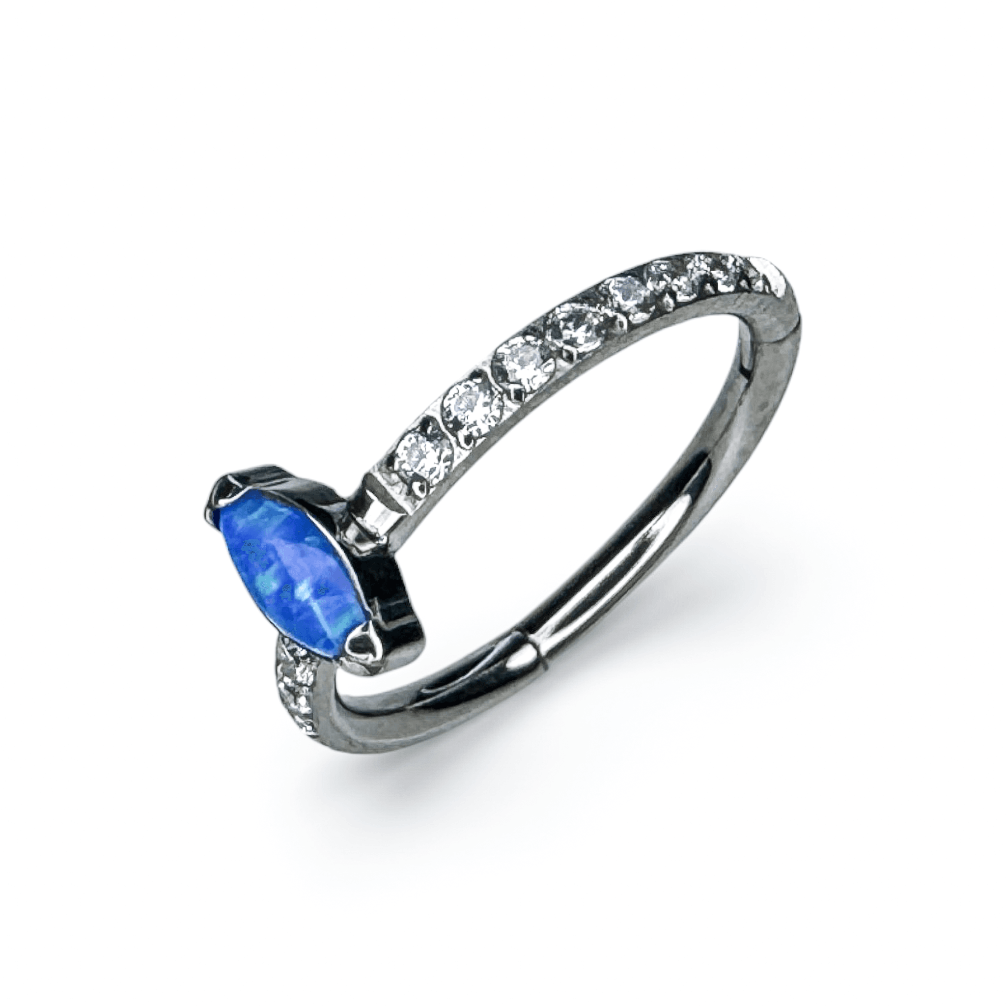 Maopseg Fusion Segment