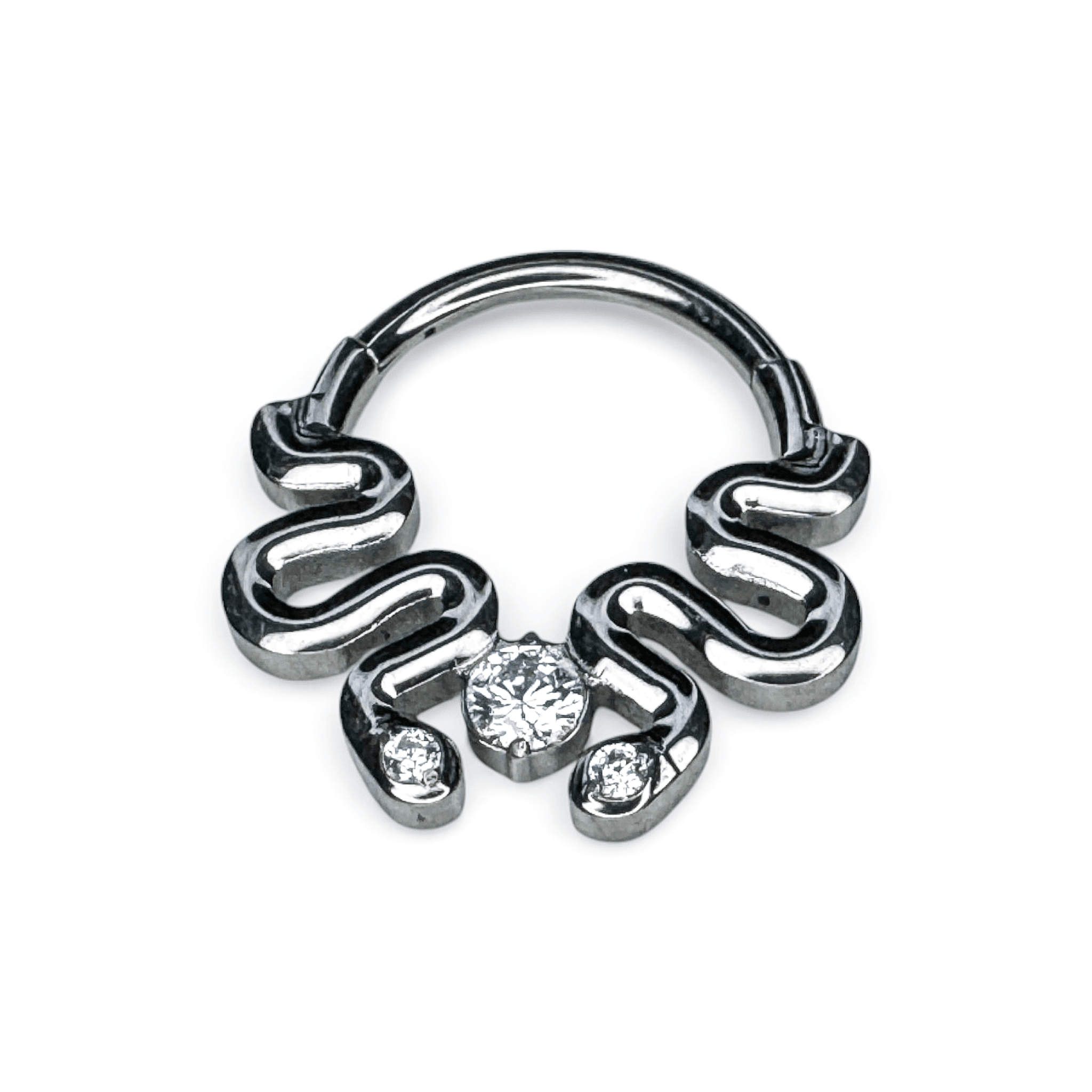 Serpent Texture Segment