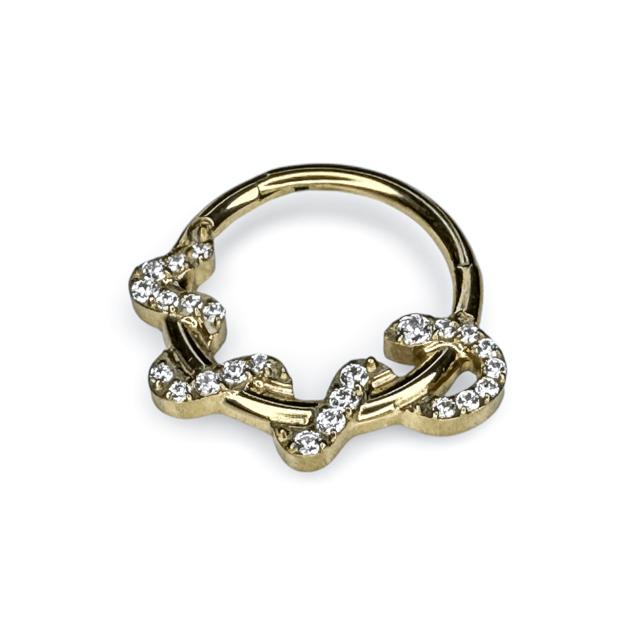 Snake Serpent Segment