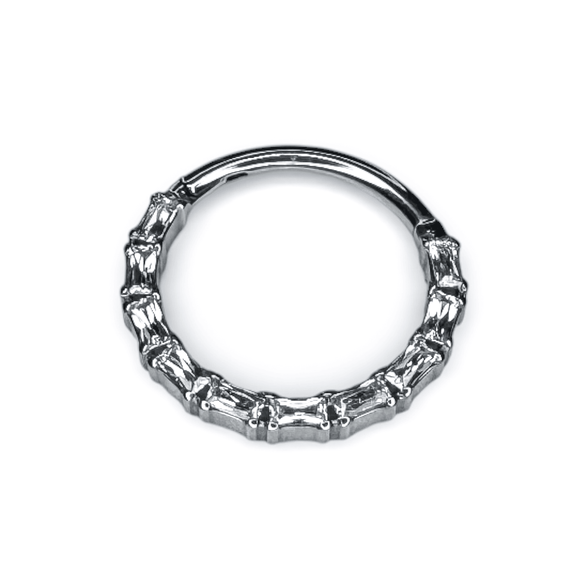 Baguette Vision Segment