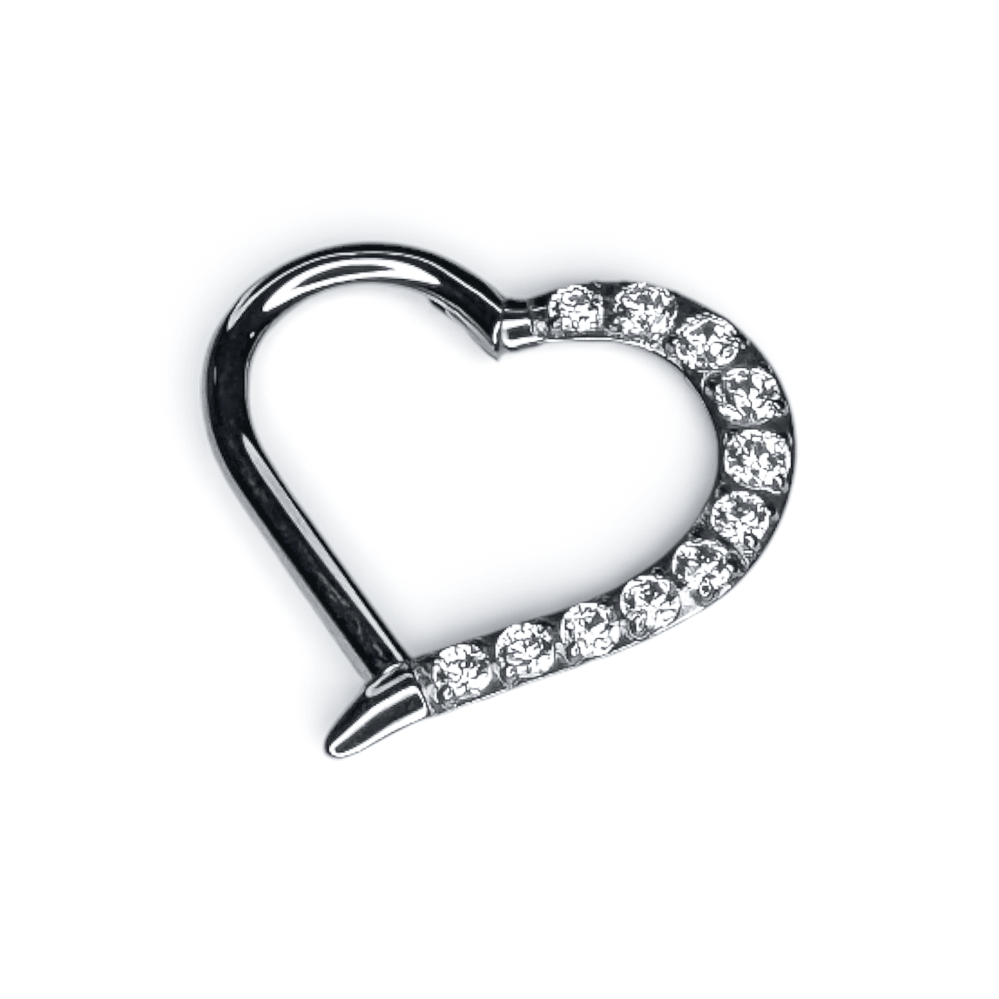 Symmetry Half-Heart Segment