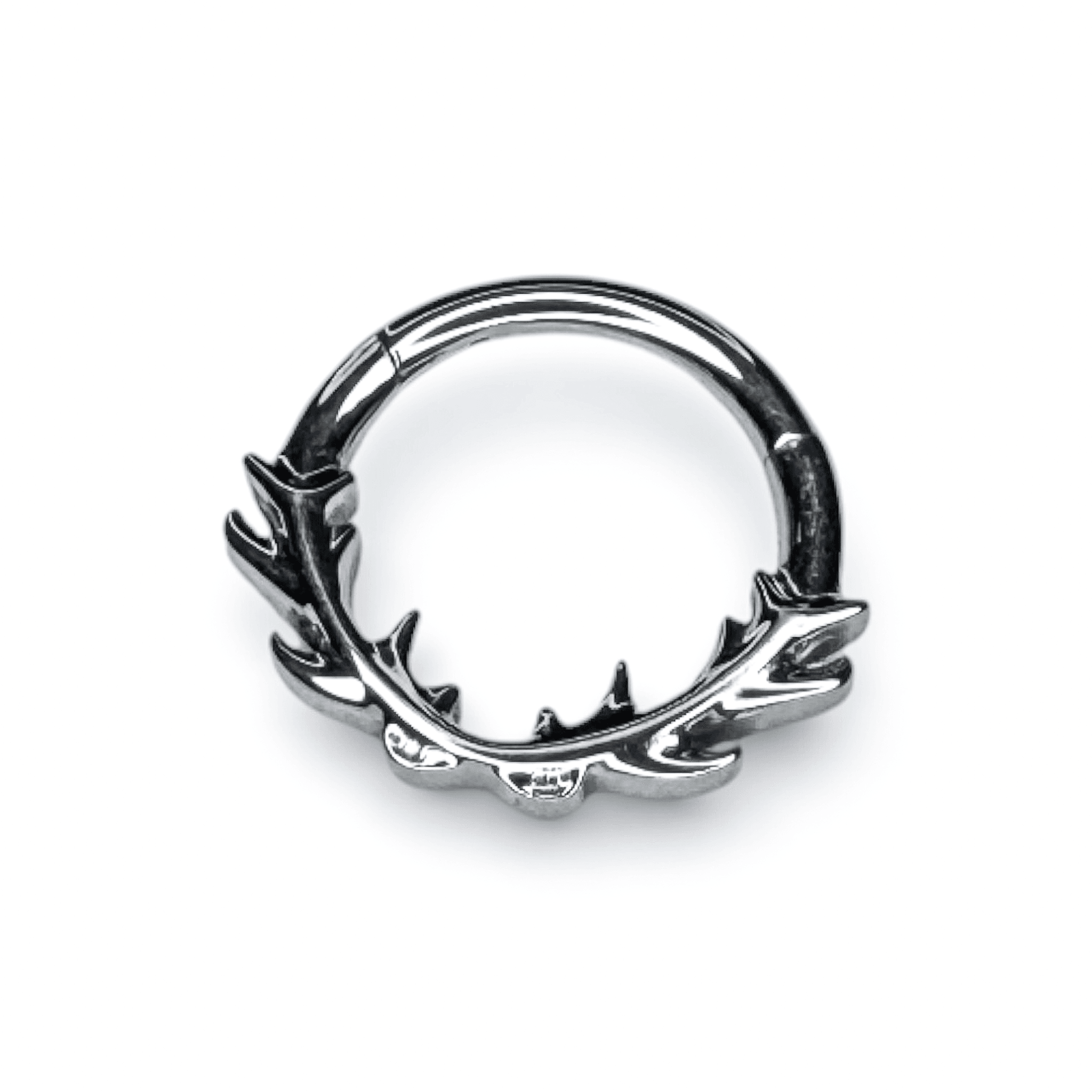 Antler Nature Segment