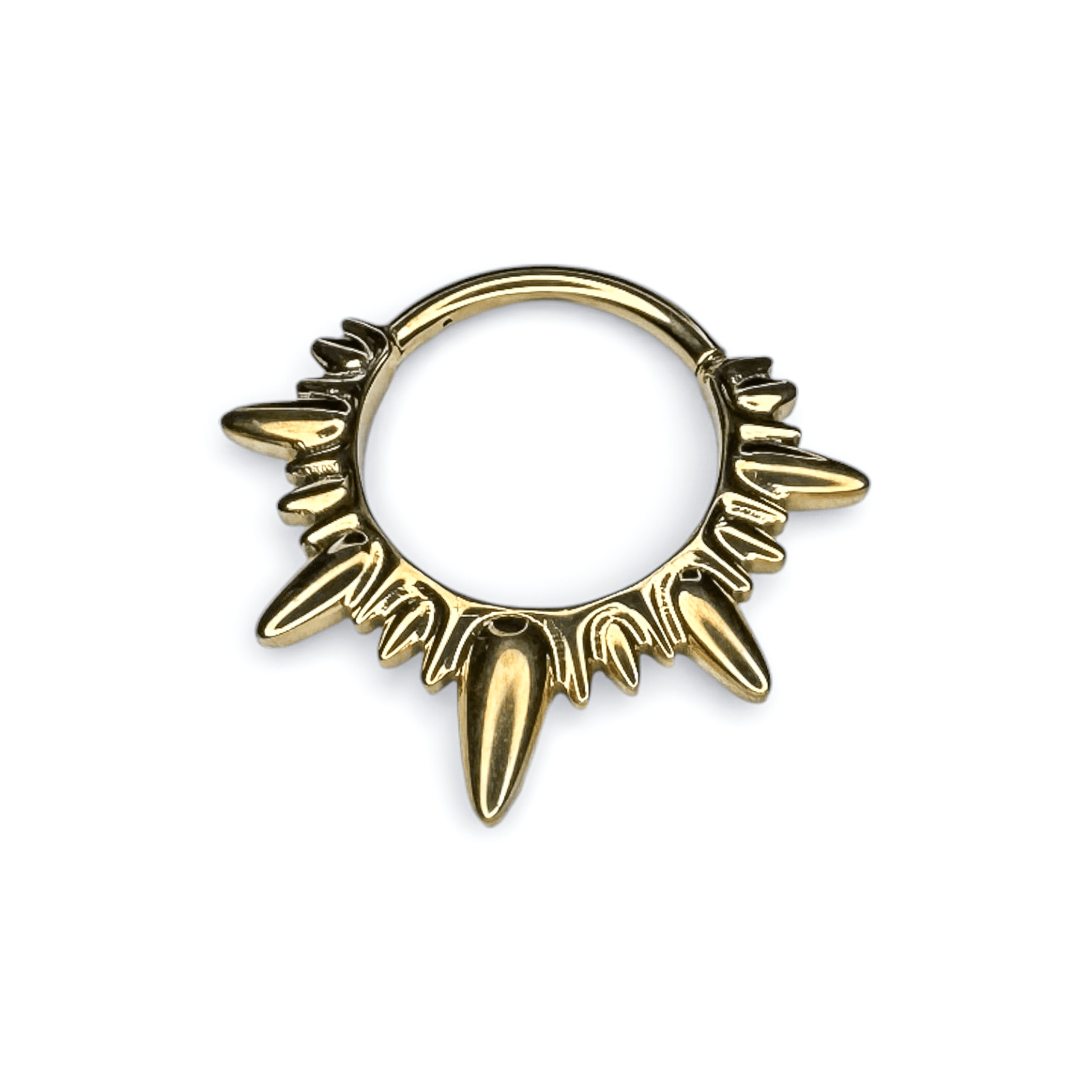 Thorn Segment Ring